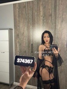Транс Шымкента Анкета №374367 Фотография №2902515